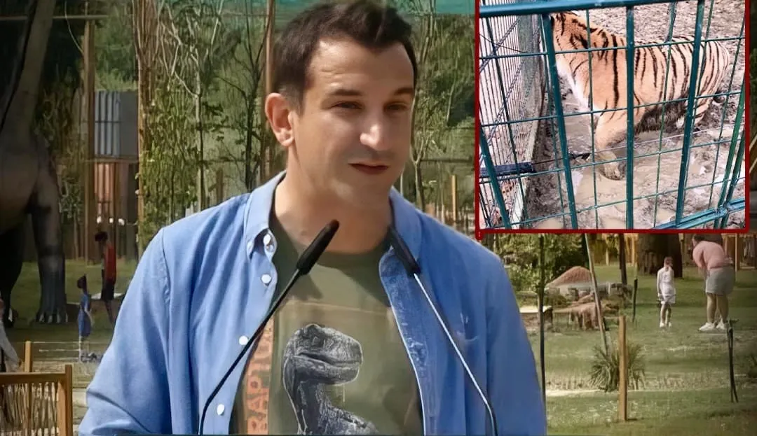 Veliaj hap tender për të blerë bukë e fruta-perime për kafshët e kopshtit zoologjik