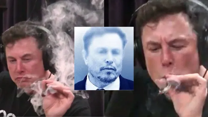 WSJ: Elon Musk ka përdorur, kokainë, ekstazi, kërpudha halucinogjene dhe ketaminë