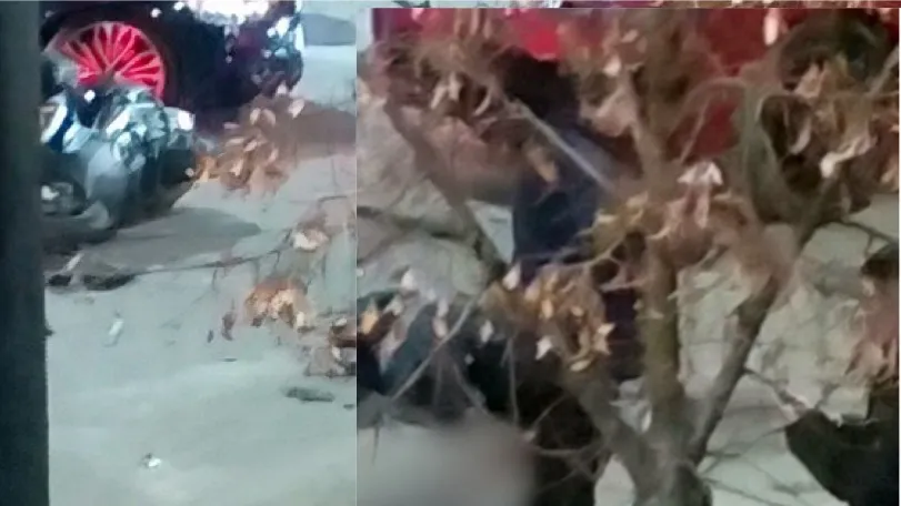 Fier/ U  përplas  me Range, drejtuesi i motorit në gjendje të rëndë në spital