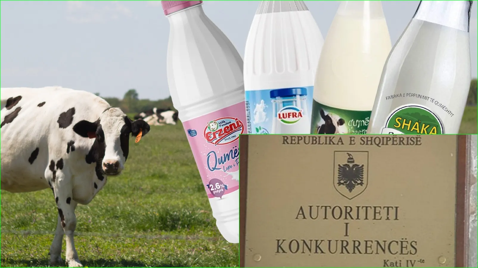 Autoriteti i Konkurrencës, fillon hetimin për kompanitë e produkteve të qumështit