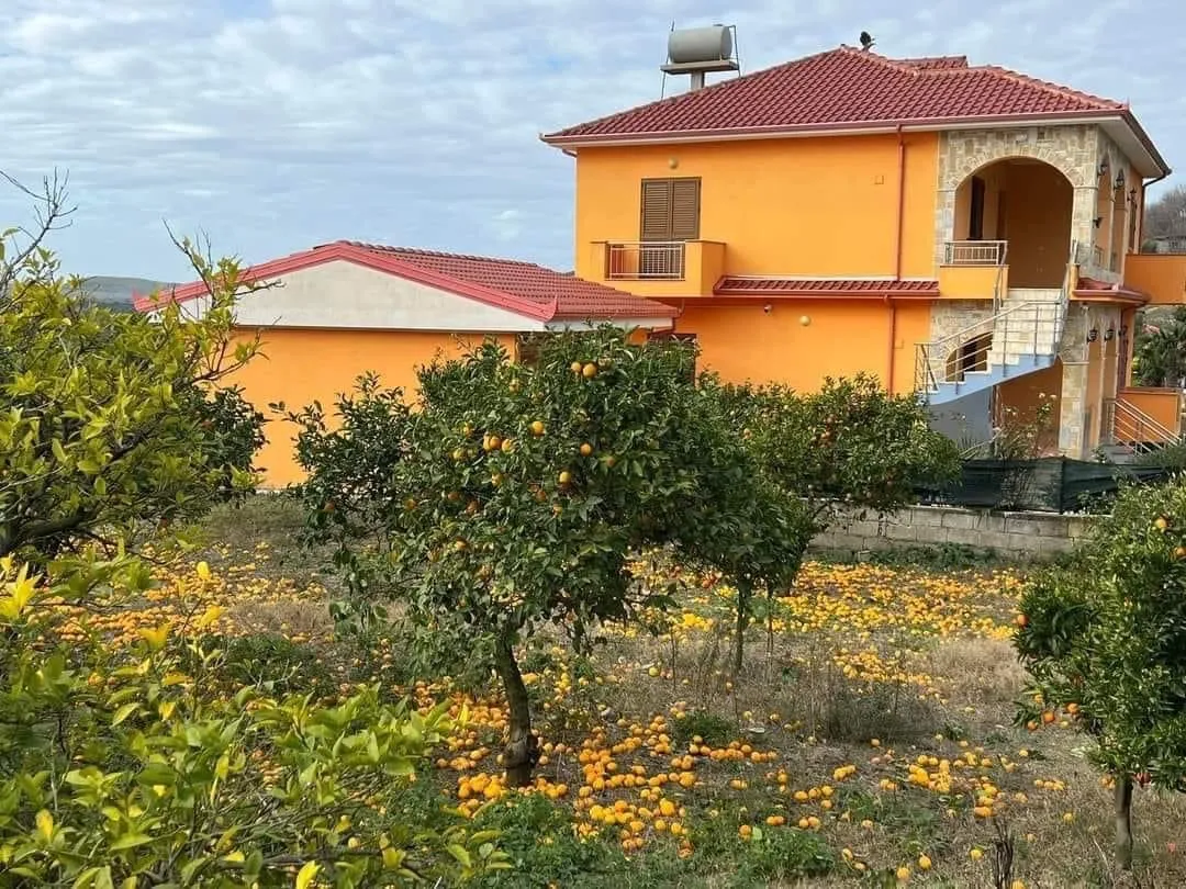 FOTO sa 1000 fjalë!  Lushnjë/ Vila e braktisur, limonat në tokë!
