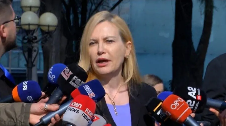 Mesila Doda tregon pse PDIU bashkoi votat me PS : Italia është në krizë