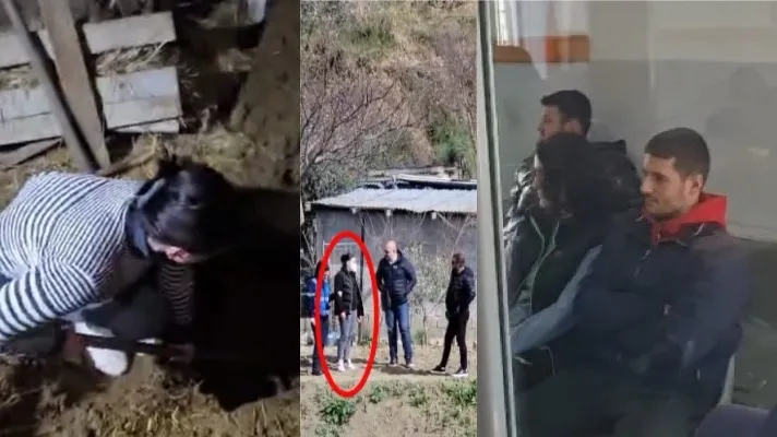 Gazetaria e kronikës si shtojcë e medias së papërgjegjshme