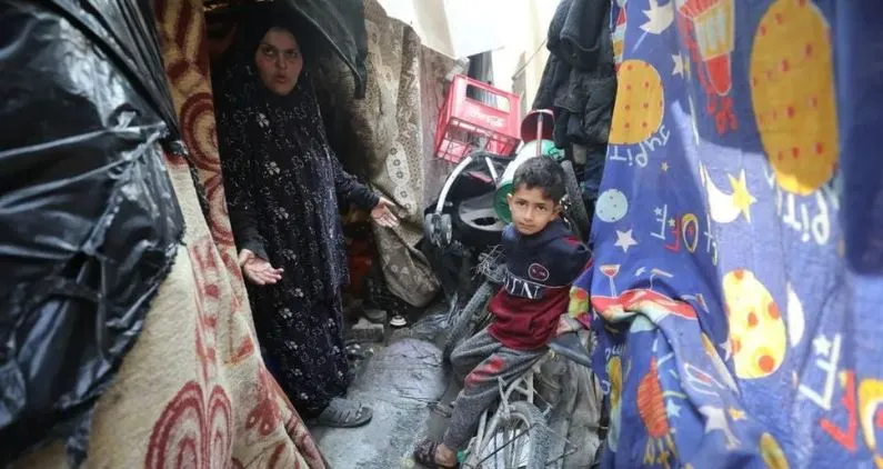 700 akademikë izraelitë nënshkruajnë peticion kundër urisë në Gaza, thirrje qeverisë: Merrni masa urgjente