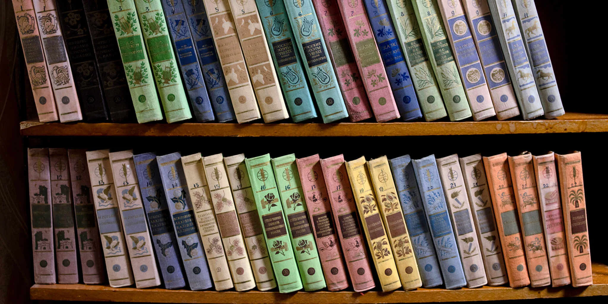 Në Ukrainë nuk ka më Pushkin, Dostojevski apo Tolstoi, të gjitha bibliotekat e vendit po pastrojnë raftet nga veprat e tyre.
