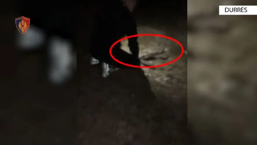 Durrës/ Kryenin qitje gjatë natës me kallashnikov për të postuar video në TikTok, arrestohen 6 të rinj!