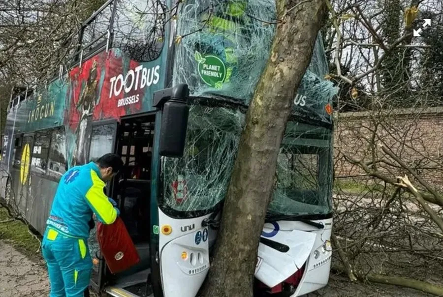 Bruksel, autobusi me 33 turistë përplaset me pemën; disa të plagosur