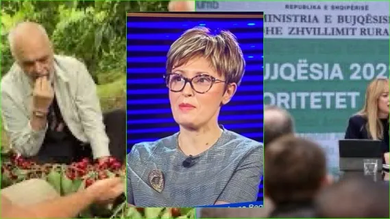 Tek bujqësia, kësaj qeverie i kanë mbaruar edhe të paaftët!
