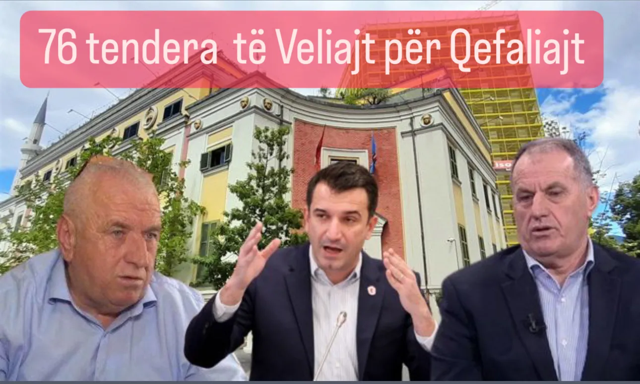 Skema nepotike me 76 tendera nga Velia