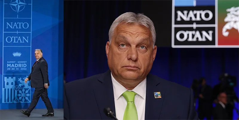 Provokon Viktor Orban: Po rishqyrtojmë rolin tonë në NATO!