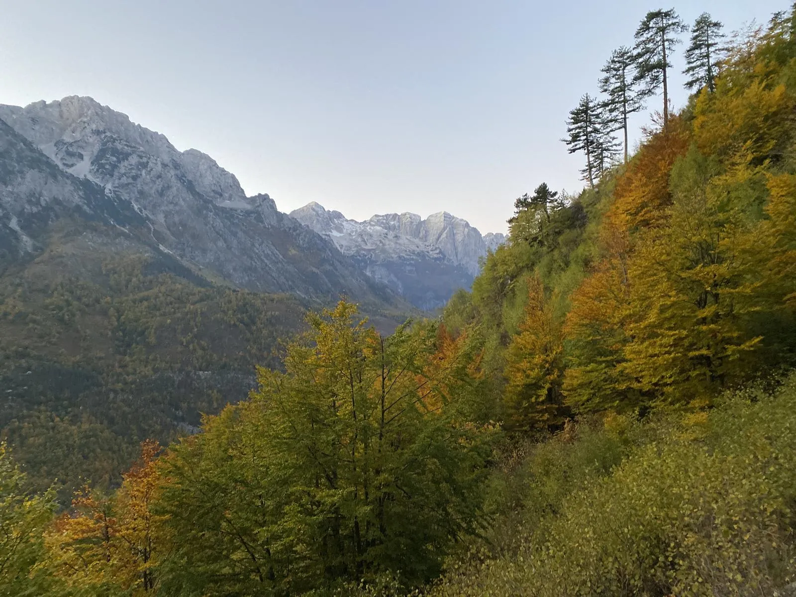 Alple/Alpinisti nga Kosova humb jetën  në vendin e quajtur “Maja e thatë” mbi Valbonë
