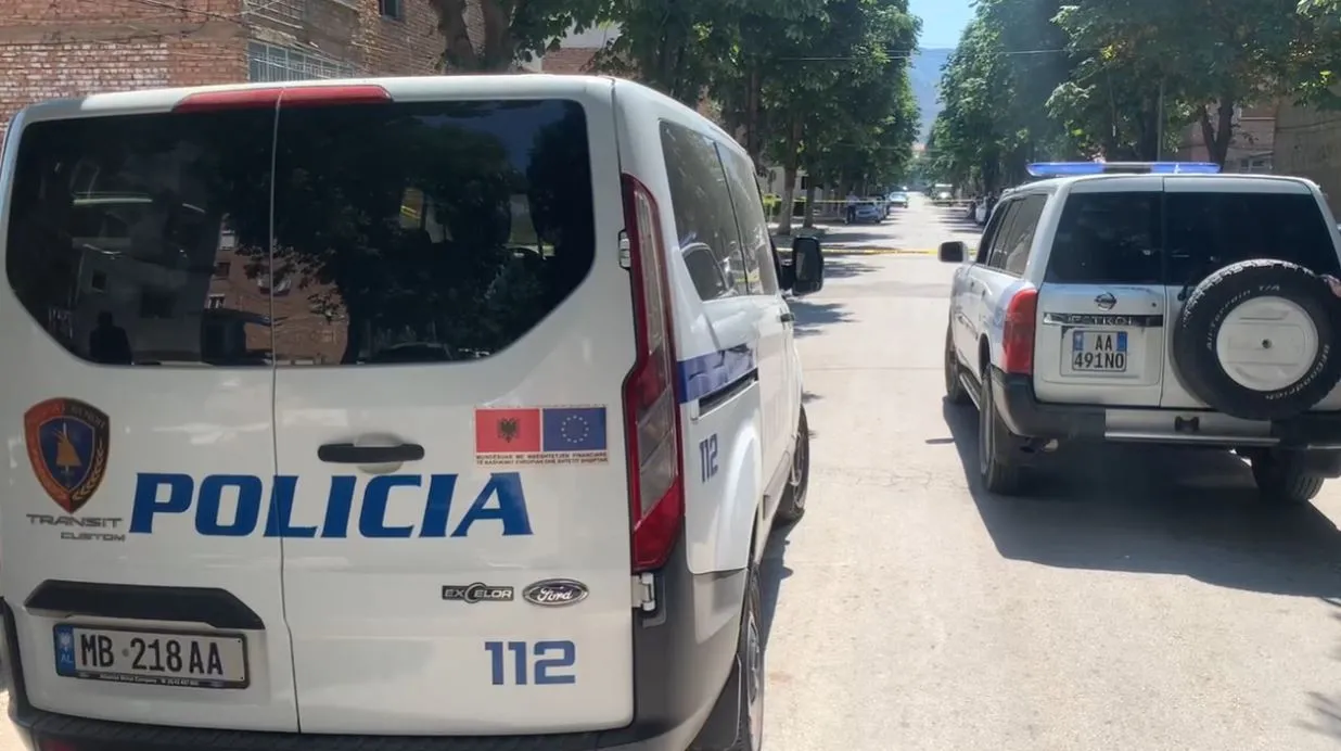 Gjirokastër/ Arrestohet 44-vjeçari, për transport të paligjashëm emigrantësh