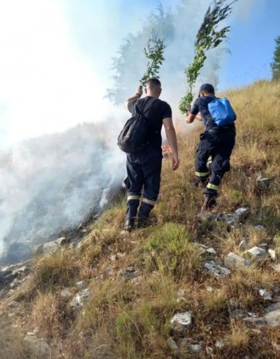 VIDEO/ Jugu digjet, zjarrfikësit shuajnë zjarret me degë peme
