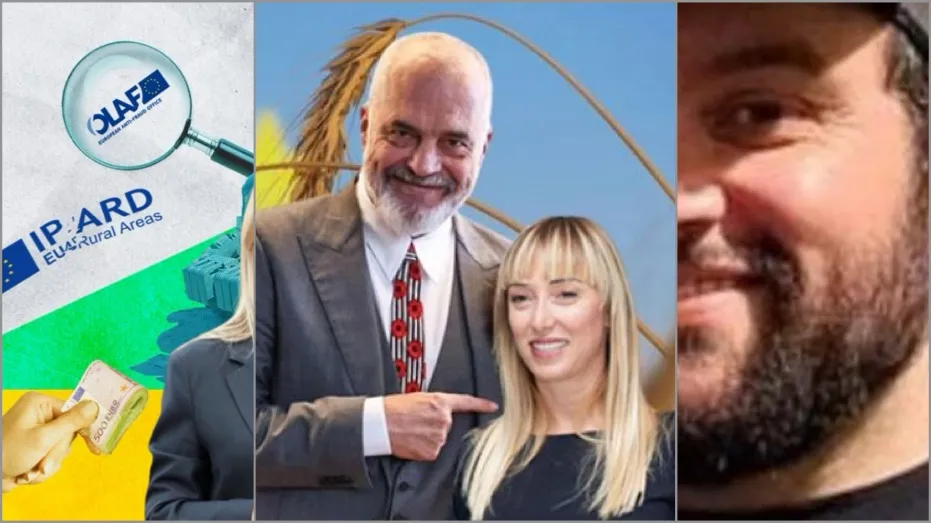 Ish-ministre e ” Akdademisë së çobenjëve”, këshilltare e kryeministrit, burrin DJ dhe miliona euro pasuri