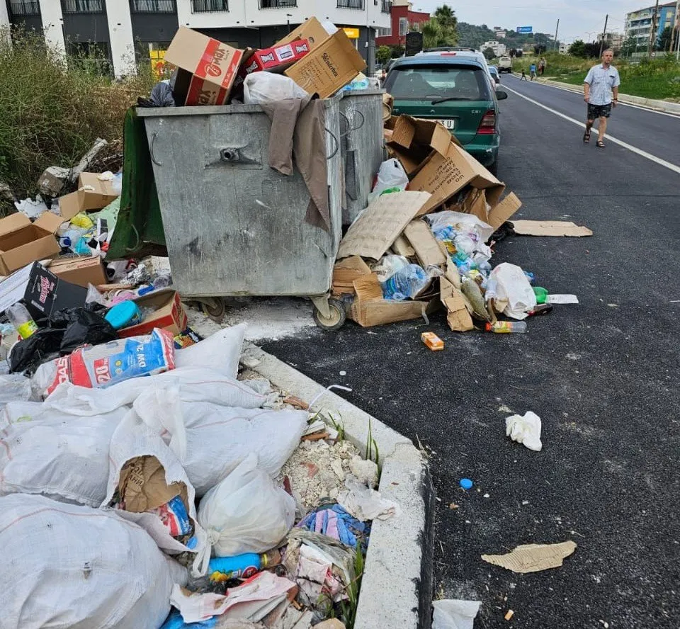 Tiranë/ Plehrat e Tiranës vatër për përhapjen e sëmundjes së “Ethet e Nilit”