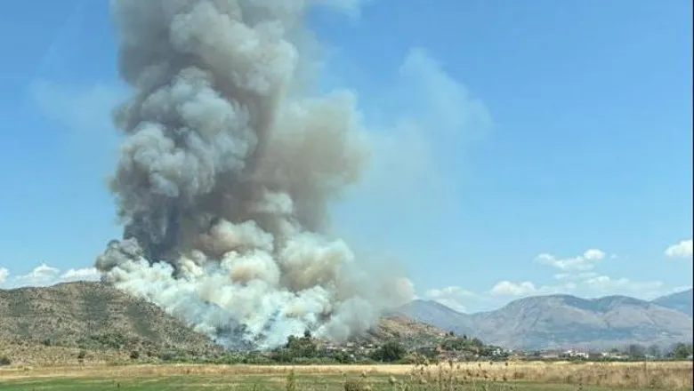Kur fajin nuk e kanë barbarët!