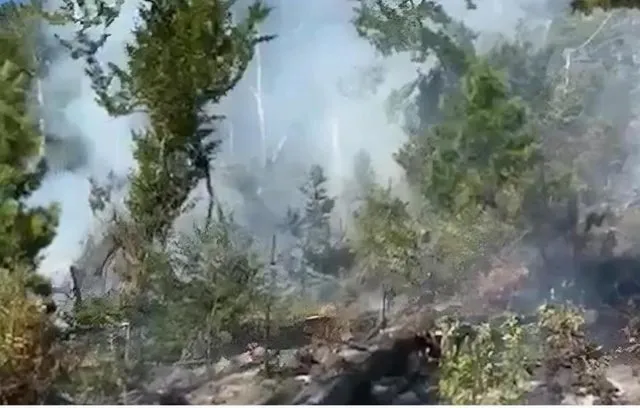Tepelenë/ Zjarr i madh në fshatin Luzat , ndërhyrje edhe me helikopter për shuarjen e flakëve