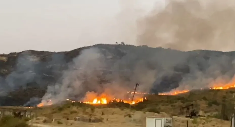 Zjarri në Gorrisht të Vlorës, shkrumbon mbi 3 mijë rrënjë ulliri