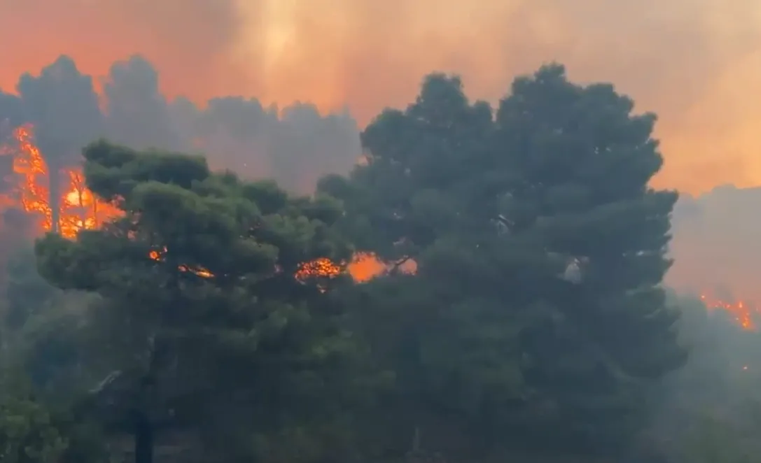 BE  na ndihmon me  një avion ushtarak shumëfunksional për zjarret