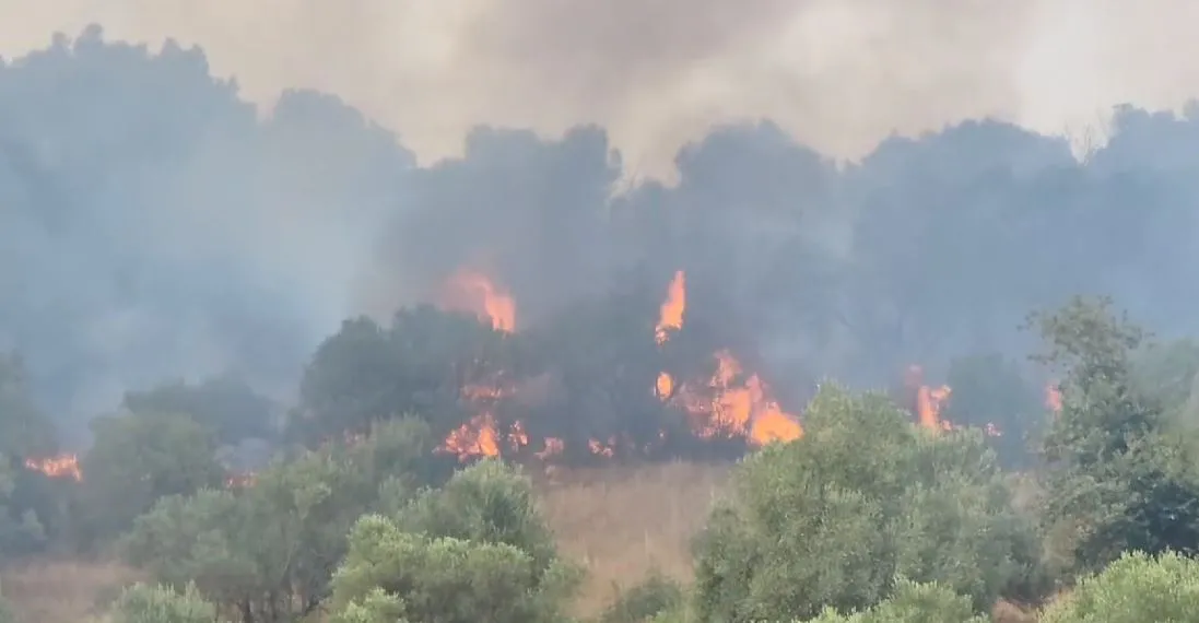 Zjarr i madh në Fier, banorët kërkojnë ndërhyrje nga ajri për shuarjen