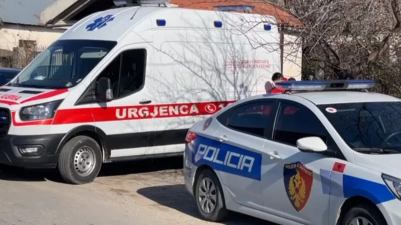 Malësi të Madhe, autori qëlloi dy persona në hyrje të një lokali