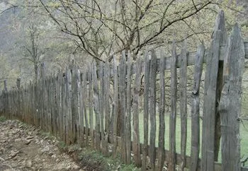 Tiranë/Dy vëllezërit  rrihen për një gardh dhe arrestohen