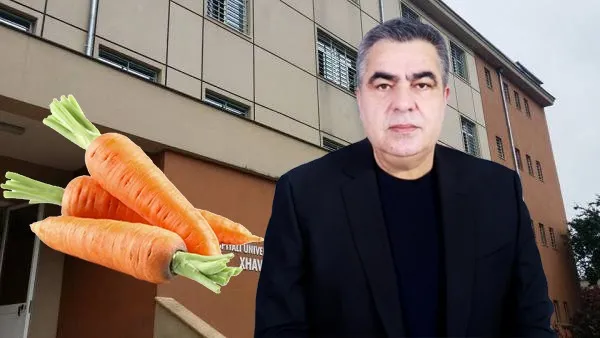 Gonxhe blen 3.1 mln euro perime dhe bulmet për spitalin psikiatrik, dhuratë tenderin Alma Tafanit