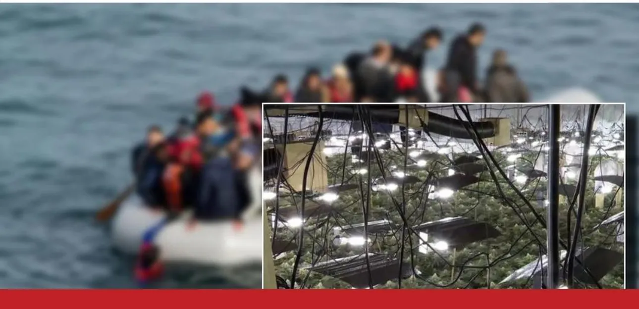 “The Telegraph” shkrim për ‘shtëpitë e barit: Emigrantët shqiptarë pushtuan tregun e kanabisit në Britani