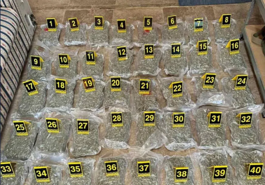Mal i Zi/ Policia kap 66 kg marijuanë në kufi me Shqipërinë, trafikantët arratisen