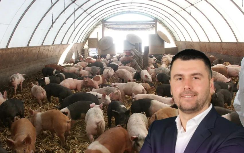 78 kasolle derrash i vlerësuan si banesa, 5 zyrtarë të Rrogozhinës vodhën 353 mln lekë fonde