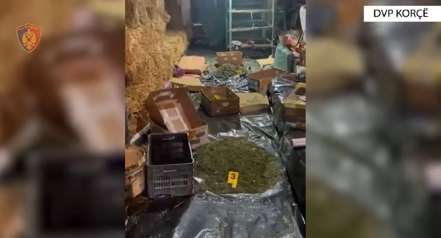 Korçë/ Policia sekuestroi 195 kg drogë në magazinën me kanabis