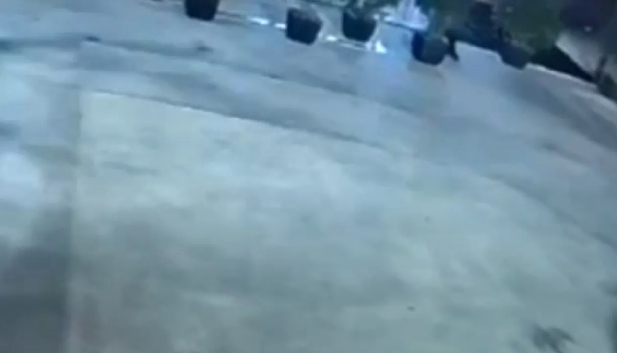 Del video e vrasjes së biznesmenit Eduart Reçi në Tiranë