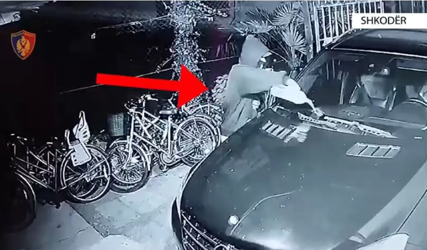 Shkodër/Merrnin porosi për djegien e automjeteve, arrestohen dy vëllezërit