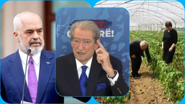 Berisha thotë se Rama po u jep goditjen e mëshirës fermerëve: Fondet shkojnë në sektorët ku vidhen më shumë