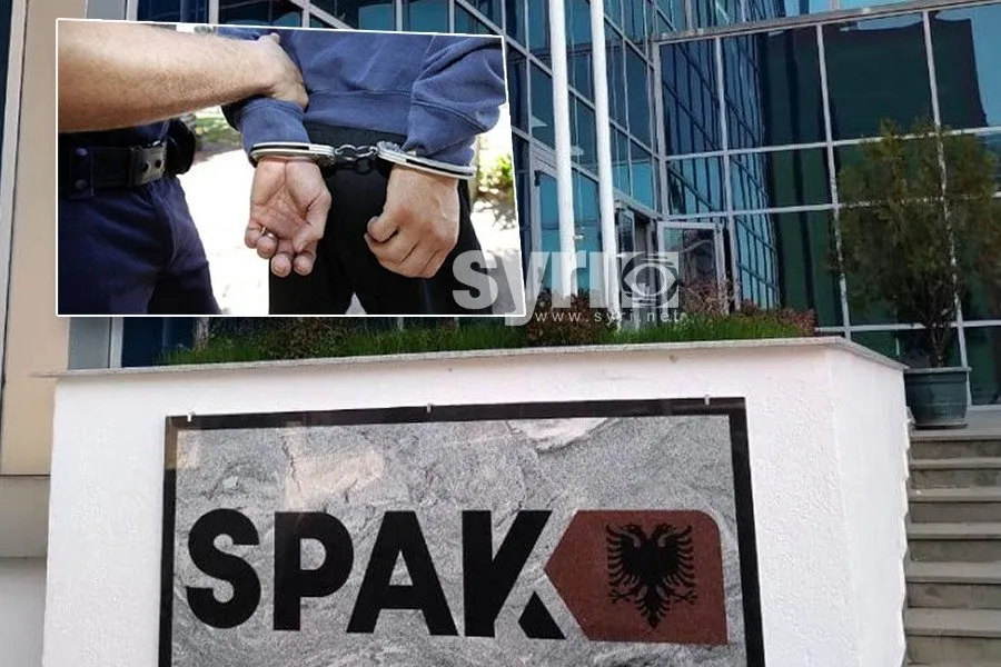 Njoftimi i SPAK: Operacioni antidrogë në disa zona të vendit u iniciua nga Spanja