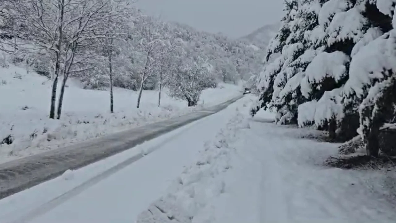Korça pa drita, reshjet e dendura të dëborës bllokojnë aksin Qafë Qarri-Ersekë