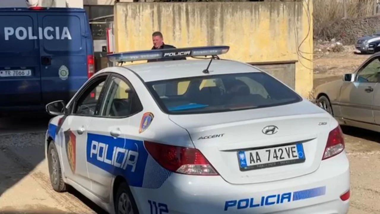 Lezhë/Vetëplagoset me armë zjarri një person