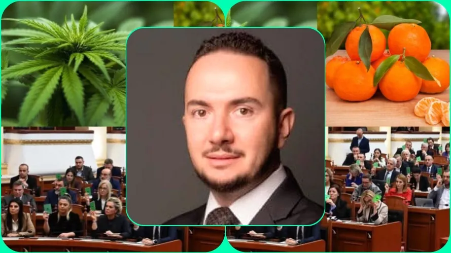 Kanabisi kalon me duartrokitje, mandarinat kthehen në heshtje