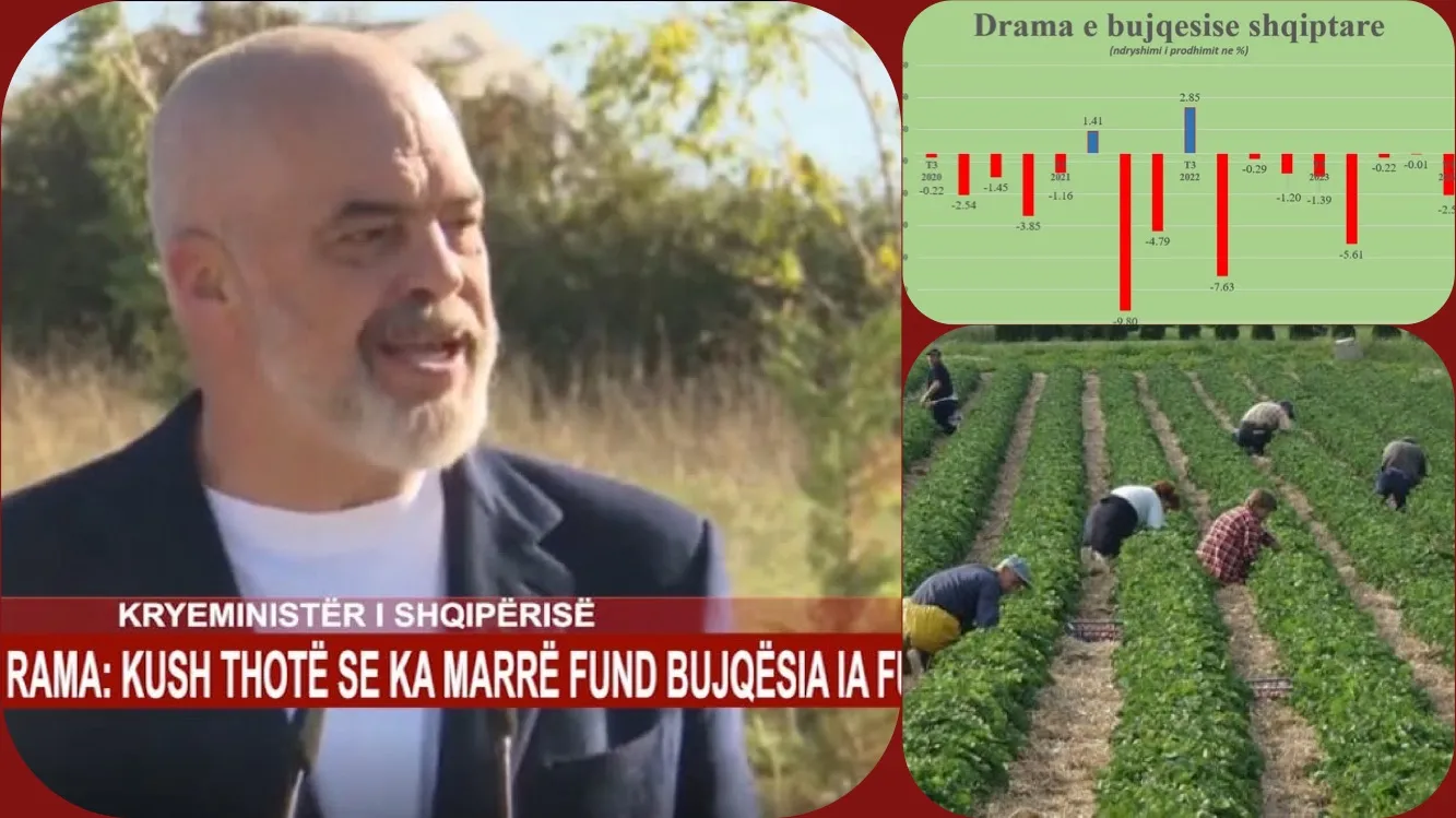 Dy shtyllat e ekonomisë së Shqipërisë, bujqësia dhe industria në rënie pa kthim