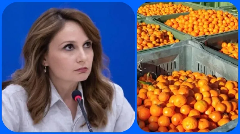 Deputetja Tabaku flet për bllokimin e mandarinave: ‘Korrupsioni, pesticidi më i rrezikshëm’ i kësaj qeverie
