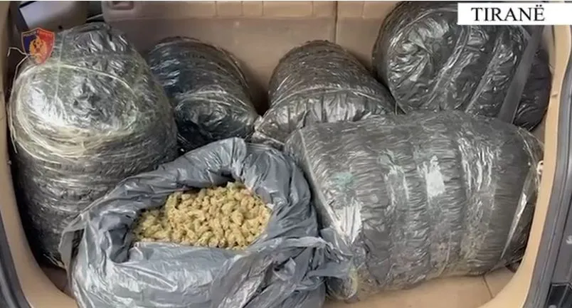 Tiranë/ Arrestohen 2 persona, po transportonin 60 kg kanabis