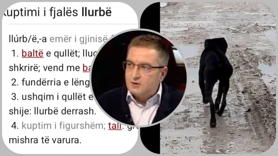 Është koha E  llurbëtyrëve!
