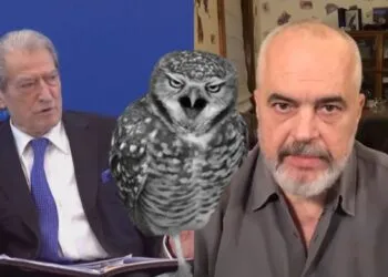 Rama ironizon Berishën me bufin e kënetës (Video)