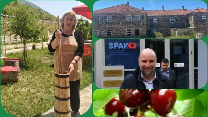 Nuk është MEME: Agolli  tender pa garë  1.4 miliard lekë për dybek dhe qershi në Boboshticë