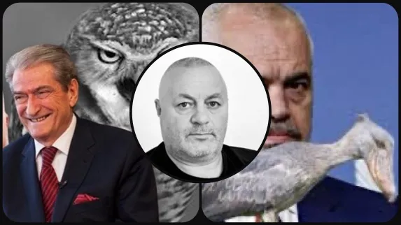 Më mirë një “buf” apo një hajdut parekselencë !