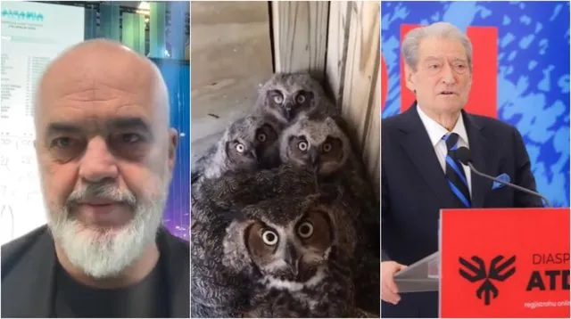 Rama ironizon Berishën dhe aleatët demokratë: Fronti i ‘Noc Rrokut’!