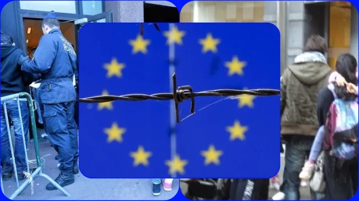 Shqiptarët mbi 7 mijë kërkesa për azil në BE gjatë vitit 2024!