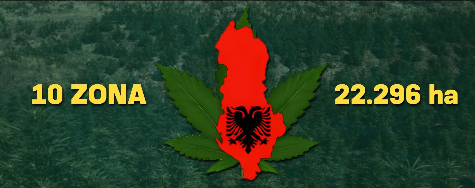 Njihuni me 10 zonat ku do të mbillet hashash