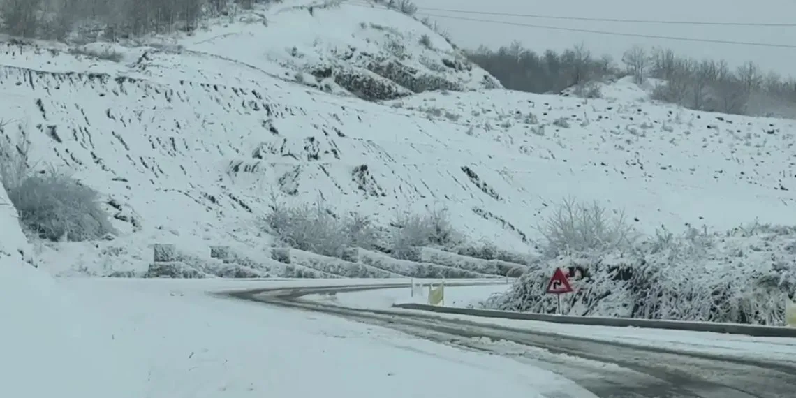 Korça zbardhet nga bora