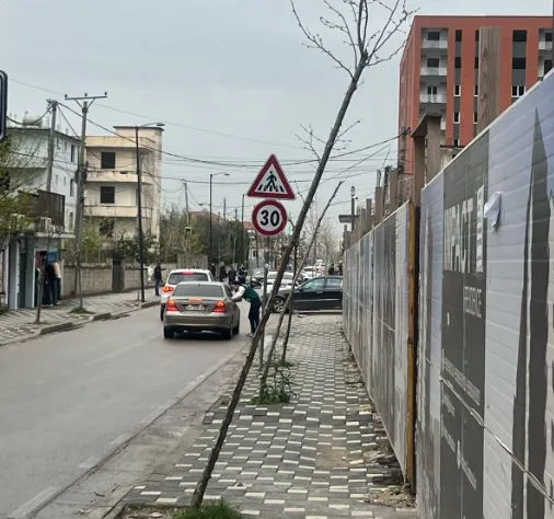 Çfarë ndodhi në Kamëz?